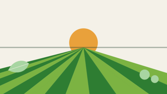 Minimalist illustration of crop rows converging toward the horizon with a sun in the background