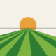 Ilustração minimalista de linhas de plantio convergindo para o horizonte com sol ao fundo
