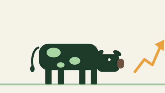 Minimalist illustration of a cattle silhouette beside a rising price chart