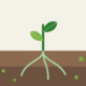 Minimalist illustration of a plant with roots in soil and microorganisms shown as circles
