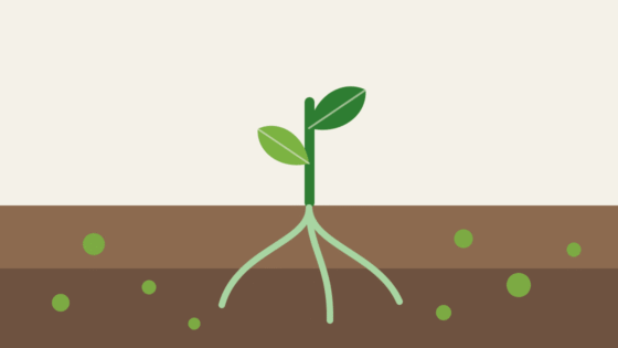 Ilustração minimalista de planta com raízes no solo e microrganismos representados por círculos