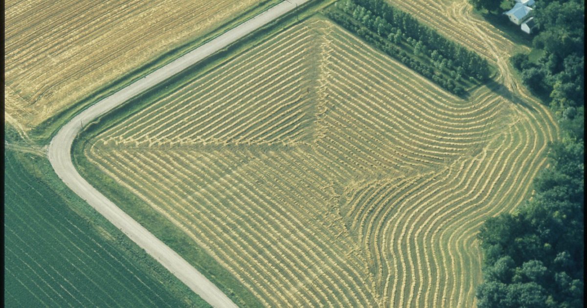 Vista aérea de campos agrícolas em mosaico