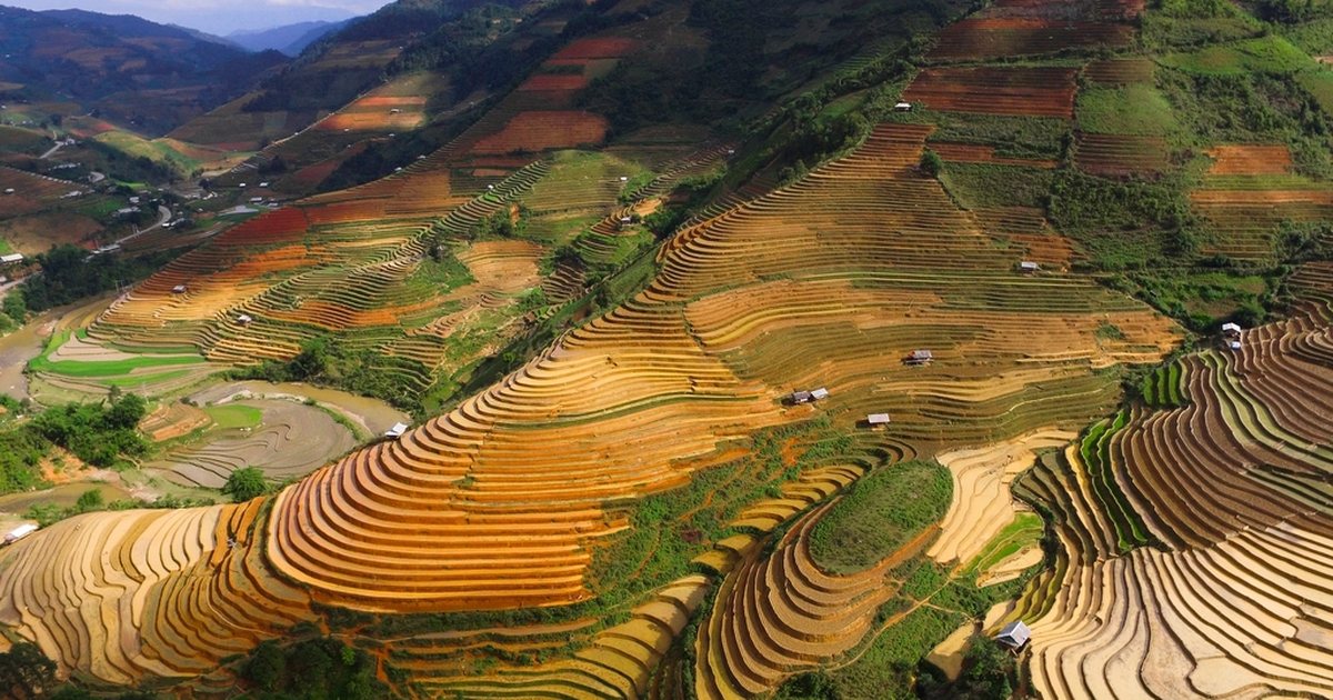 Terraços de arroz em vale asiático