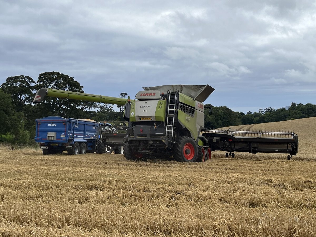 Claas Lexion 8900 sobre esteiras colhendo trigo na Escócia e descarregando em carreta