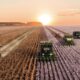 agricultura