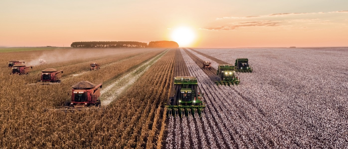 agricultura
