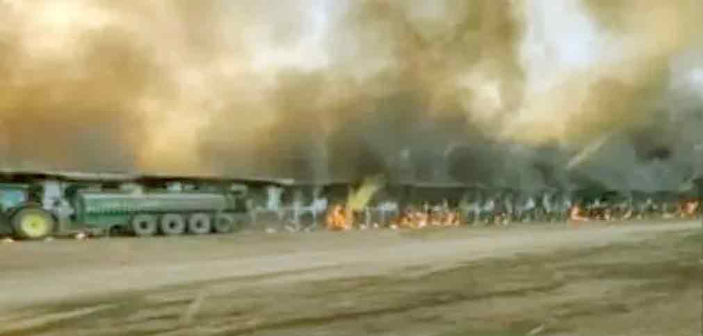 incêndio mata 18000