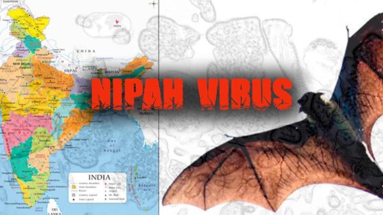 nipah virus