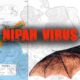 nipah virus