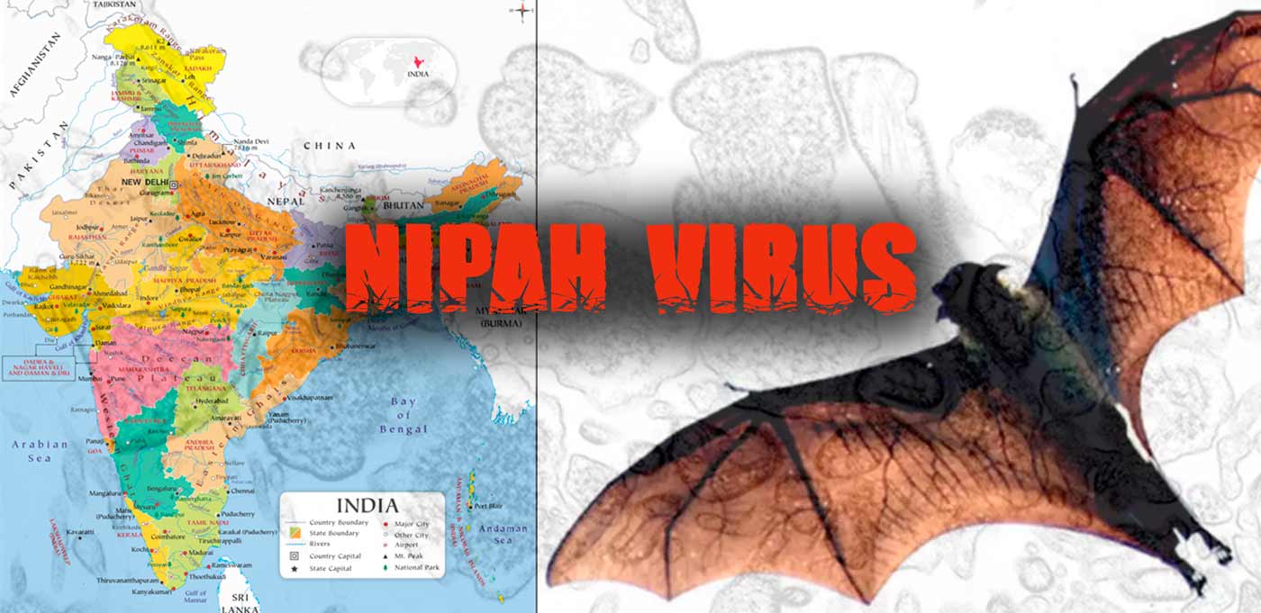 nipah virus