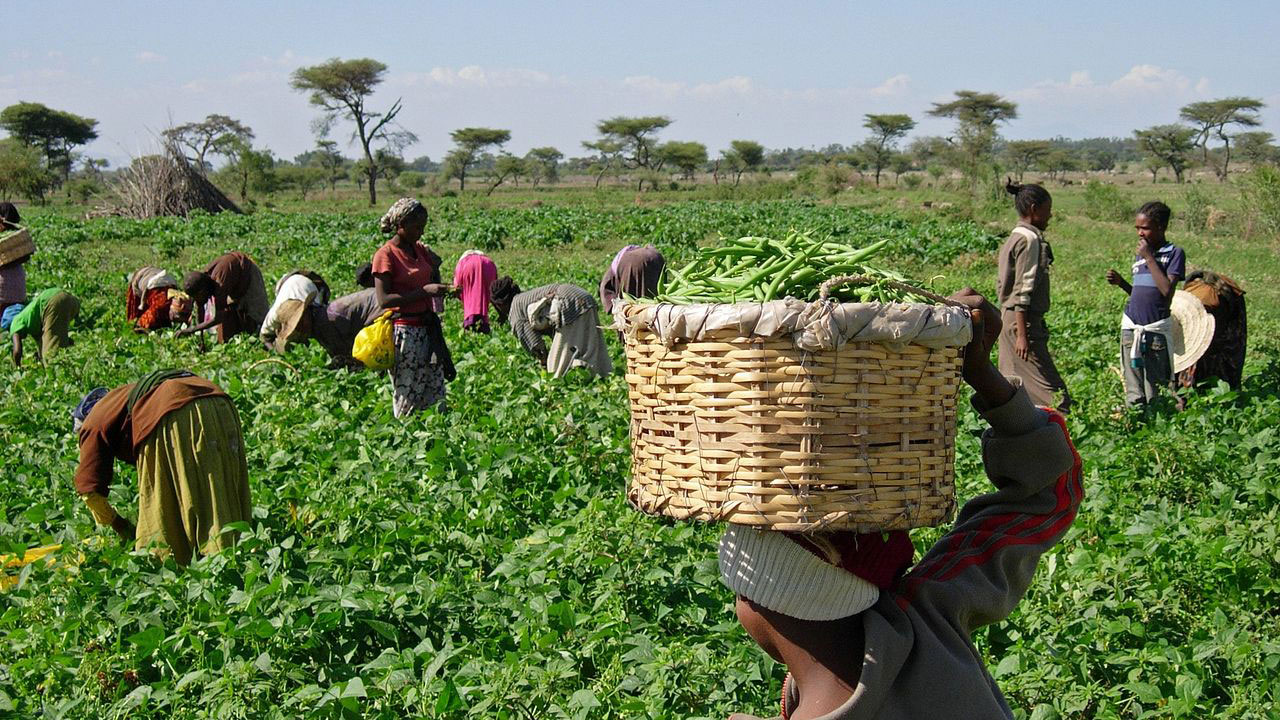 agricultura na nigeria