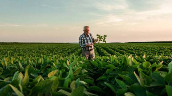 agricultura orgânica no mundo