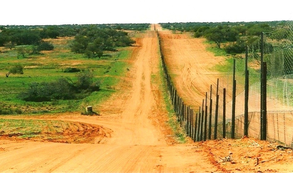 maior cerca do mundo