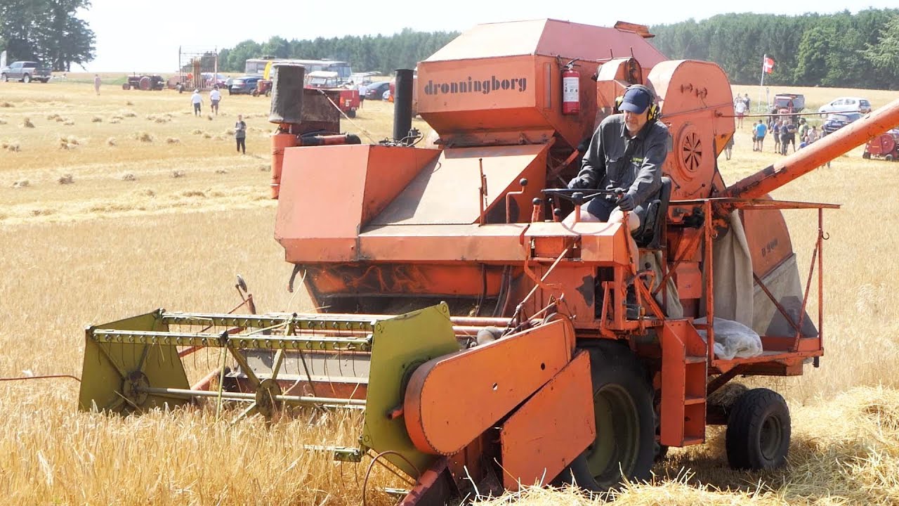 Dronningborg D900