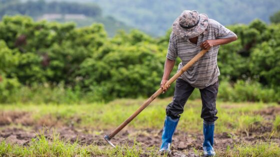Agricultura de Subsistência