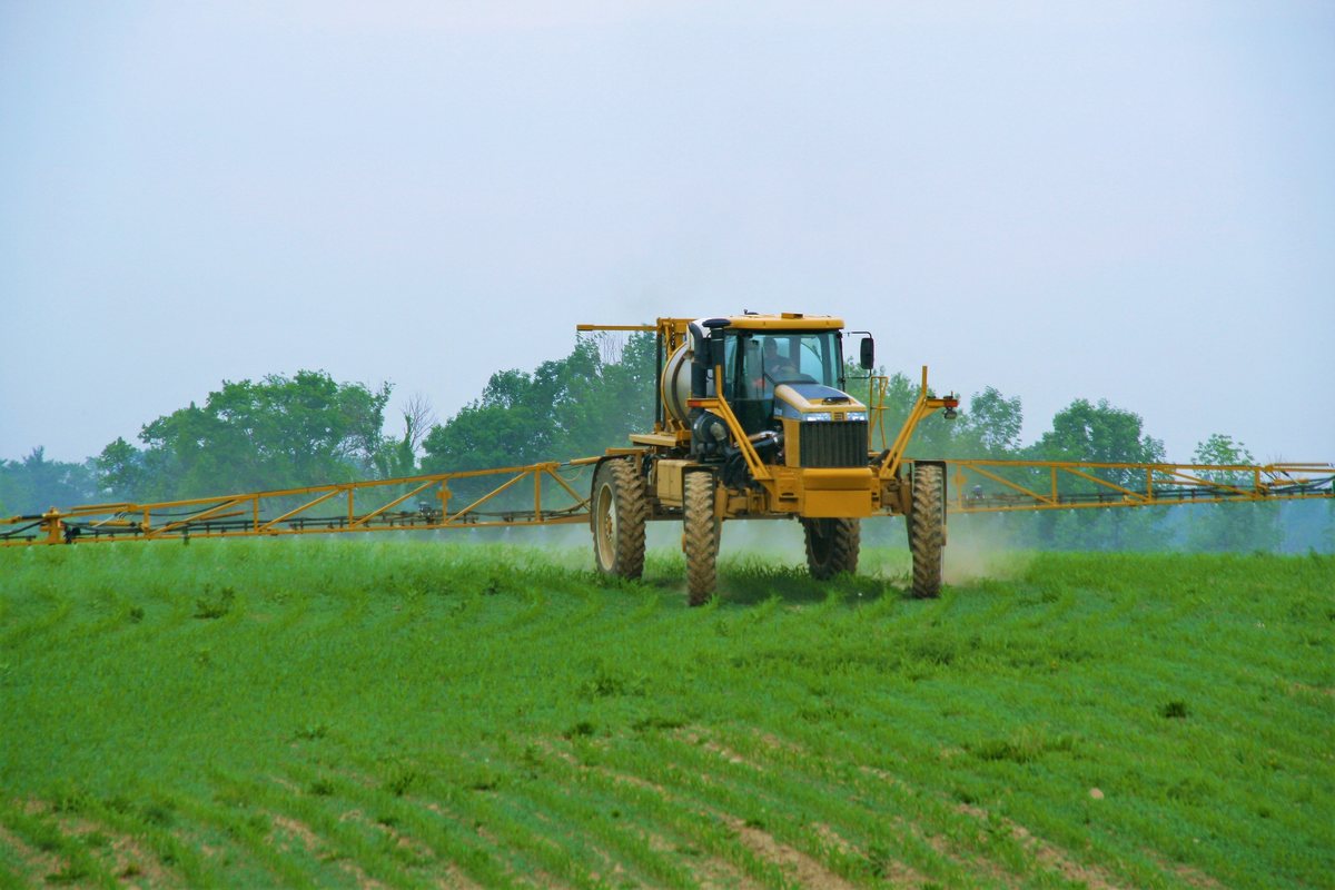 Pulverizador autopropelido RoGator amarelo aplicando em lavoura de milho jovem com barra de 27 metros