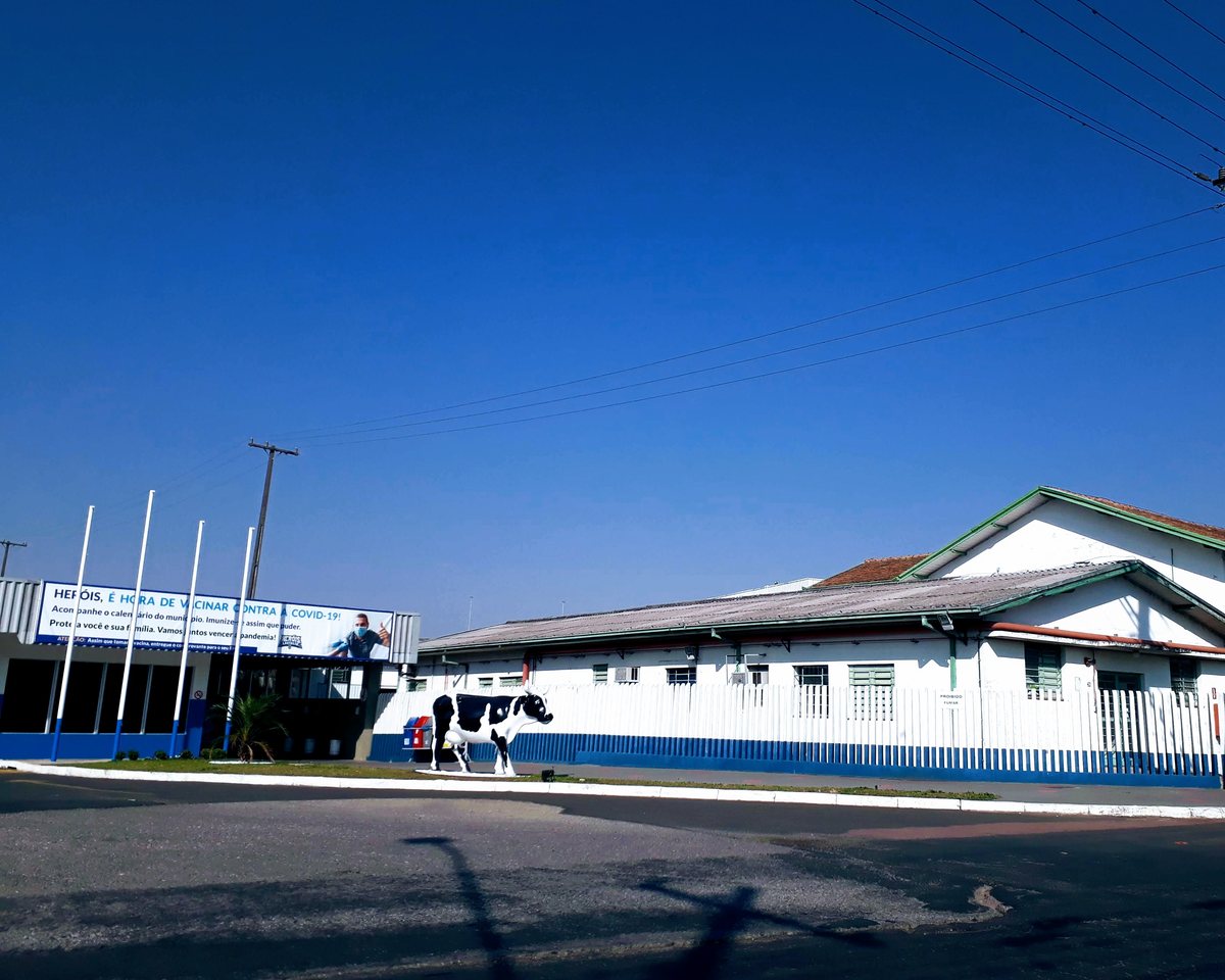 Unidade da Frísia, antiga Batavo, em Carambeí, Paraná, com a estátua de vaca holandesa na entrada