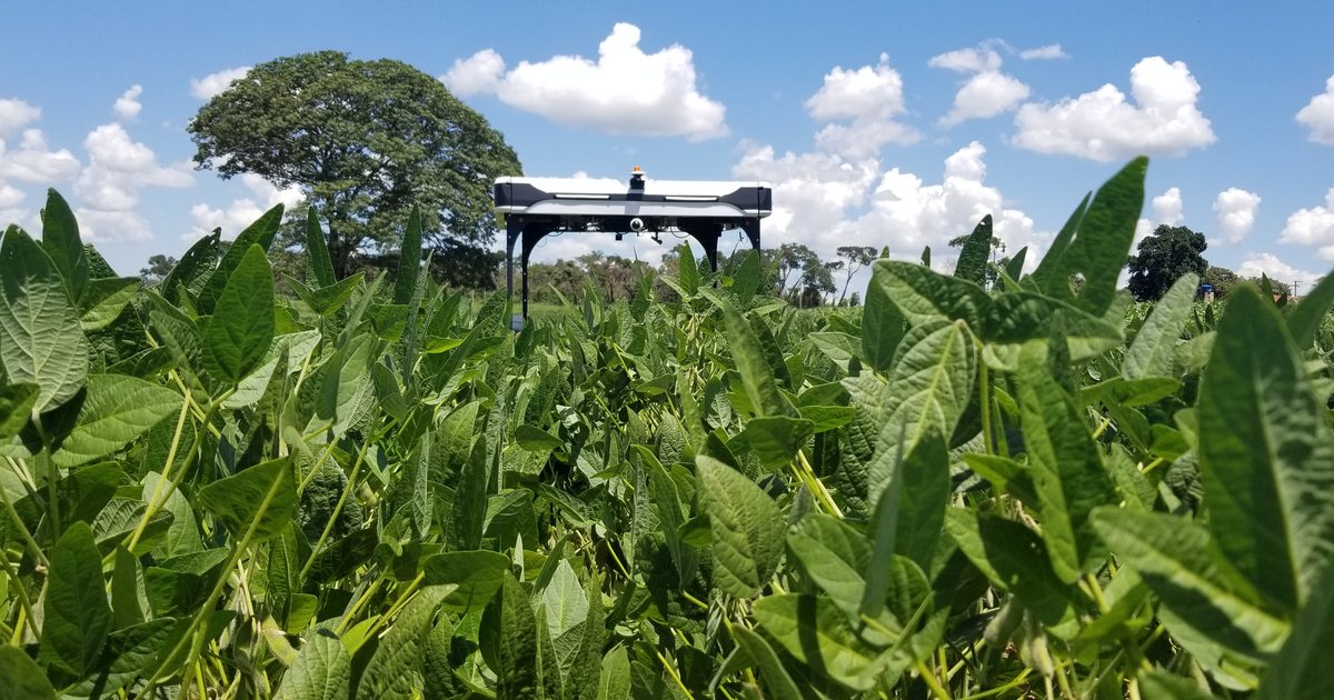 Robô agrícola com inteligência artificial sobre lavoura de soja, exemplo de inteligência artificial na agricultura