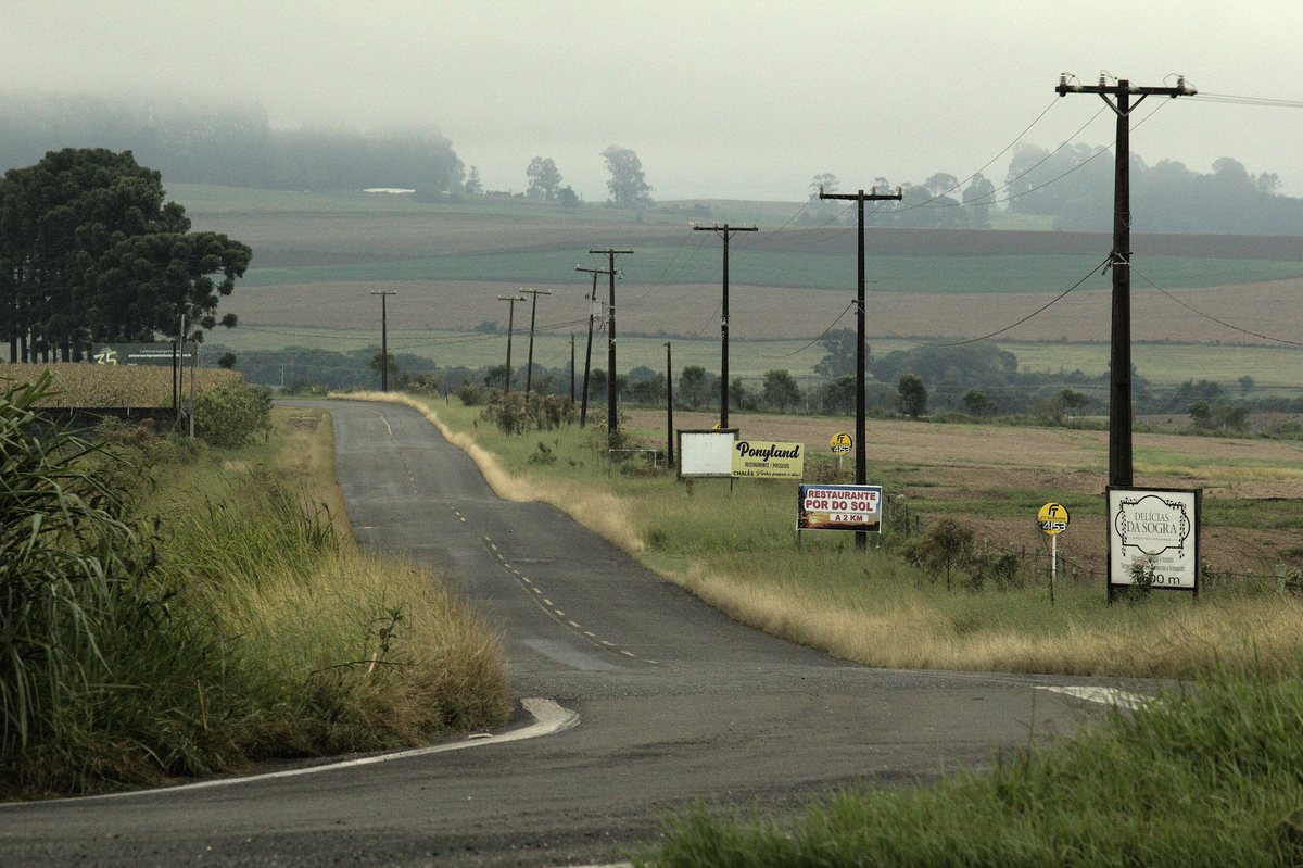 Estrada rural no Paraná com postes da rede elétrica monofásica ao longo das lavouras