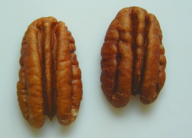 Duas metades inteiras de amêndoa de noz pecan sobre fundo claro