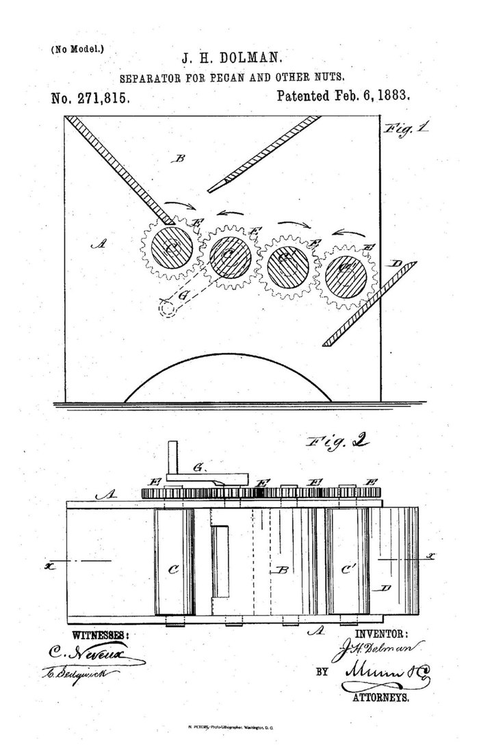 Desenho da patente americana 271.815, de 1883, de um separador de cascas para noz pecan com rolos dentados